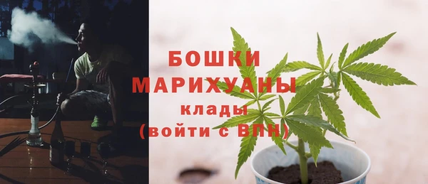 мет Няндома