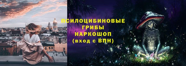 винт Елизово