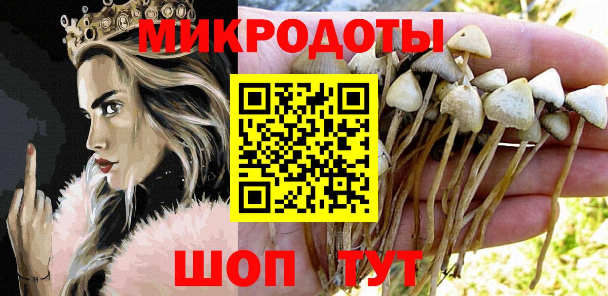 Псилоцибиновые грибы Magic Shrooms Куйбышев