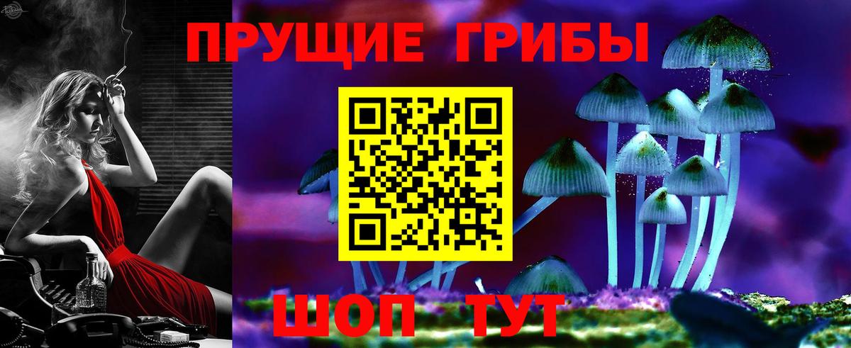 Галлюциногенные грибы Куйбышев