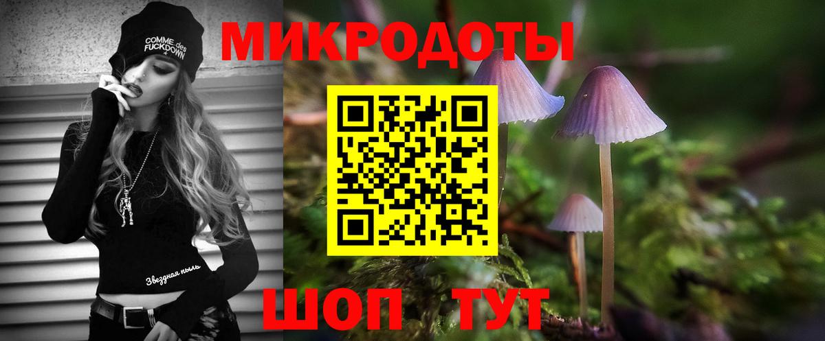Галлюциногенные грибы Magic Shrooms  цена   Куйбышев  Вход с VPN  Псилоцибиновые грибы Magic Shrooms 